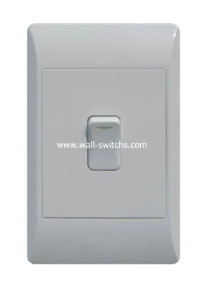 1G 1W south africa standard switch